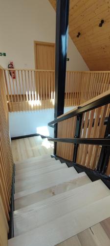 Hostel Borik