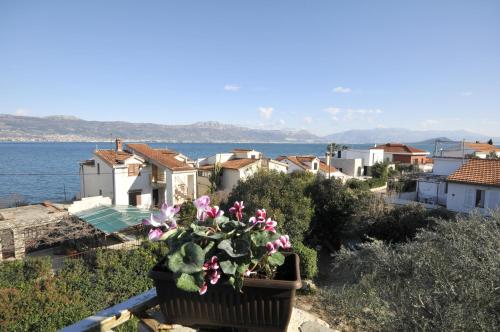 Apartments by the sea Arbanija Ciovo - 11592 - image 7