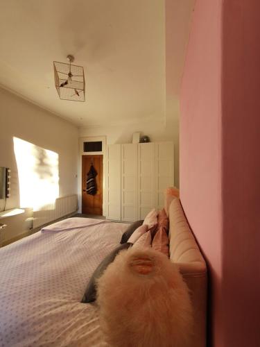 Picture of The Flat With The Pink Door