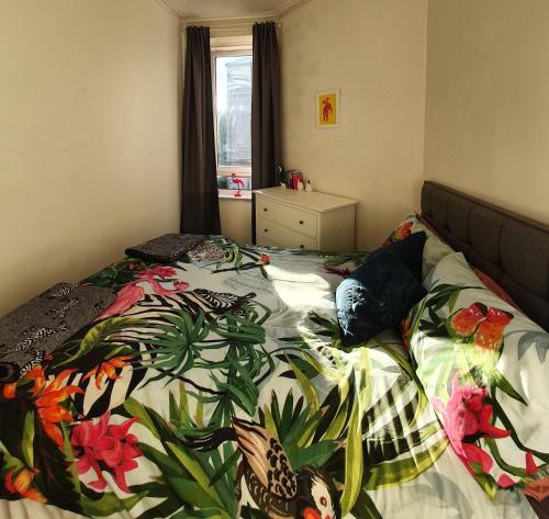 The Flat with the Pink Door, Edimburgo (foto 7)