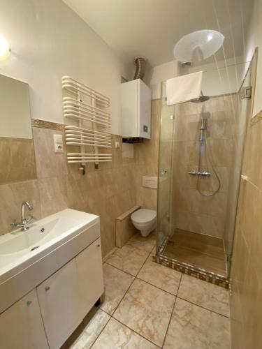Apartament F21B Deluxe w Bielawie Góry Sowie