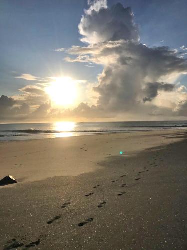 Casa Swell Coronado A unique blend of luxury and nature in the hearth of Coronado