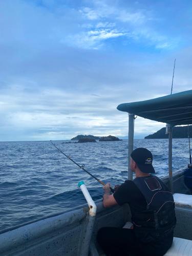 Casa Swell Coronado A unique blend of luxury and nature in the hearth of Coronado