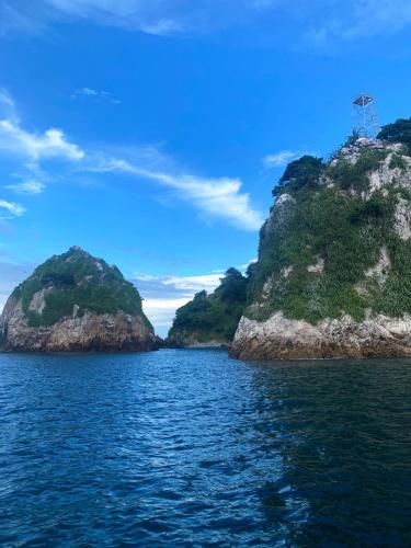 Casa Swell Coronado A unique blend of luxury and nature in the hearth of Coronado