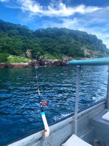 Casa Swell Coronado A unique blend of luxury and nature in the hearth of Coronado