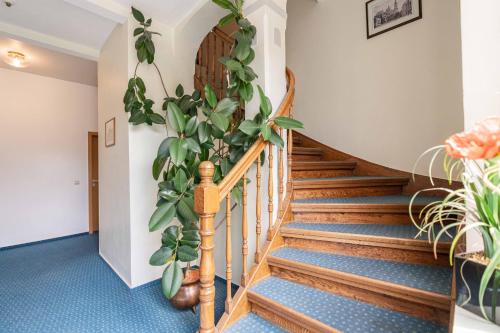 Hotel Garni am Römerplatz - image 10