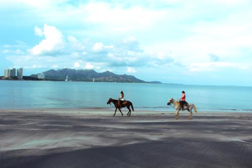 Casa Swell Coronado A unique blend of luxury and nature in the hearth of Coronado