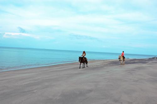 Casa Swell Coronado A unique blend of luxury and nature in the hearth of Coronado