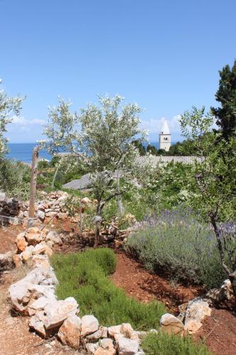Apartment Mali Losinj 7879d - image 5