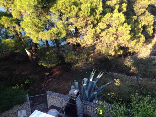 Apartments by the sea Rogoznica - 11425 - image 6