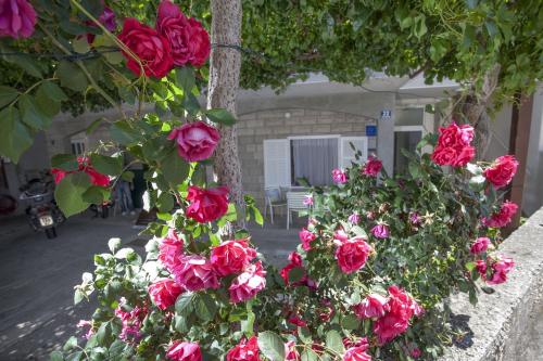 Apartment Tucepi 11486a - image 11