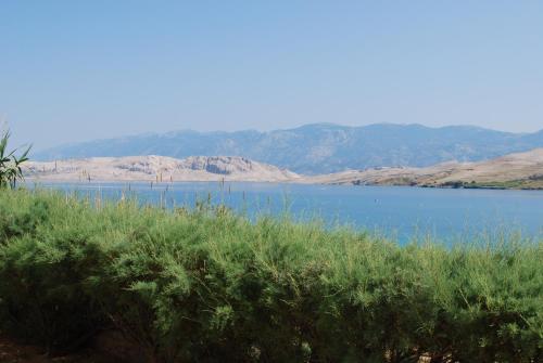 Apartments and rooms by the sea Pag - 11487 - image 3
