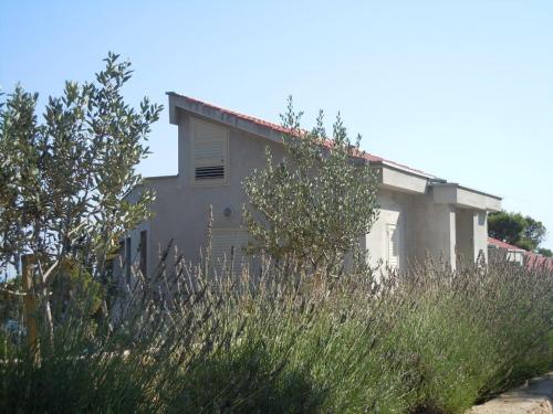  Apartments by the sea Sveta Nedilja, Hvar - 13753 in Jelsa