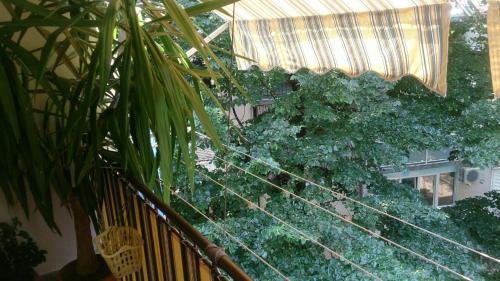 Apartments with WiFi Zadar - 13850 - image 9