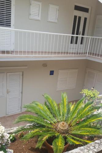 Apartments by the sea Podgora, Makarska - 13864 - Podgora