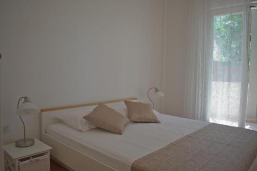 Apartments by the sea Podgora Makarska - 13864 - image 12