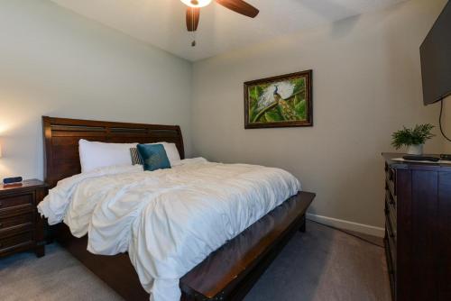 The Splendor - image 3