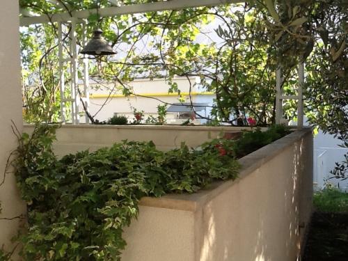 Apartments with a parking space Podgora Makarska - 13989 - image 6