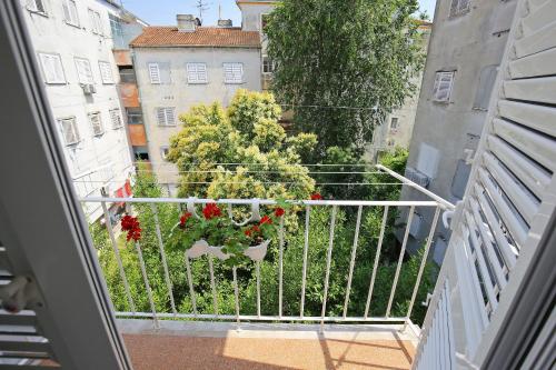 Rooms by the sea Zadar - 14007 - image 12