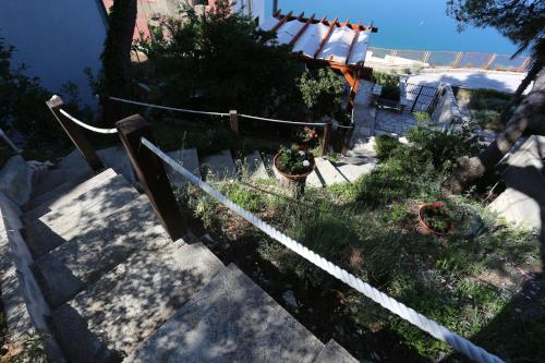 Apartments by the sea Novigrad - 14028 - image 3