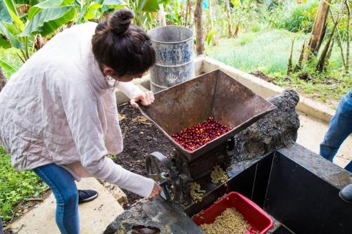 Glamping Spa & Coffee Tour, Medellín (fotografie 3)