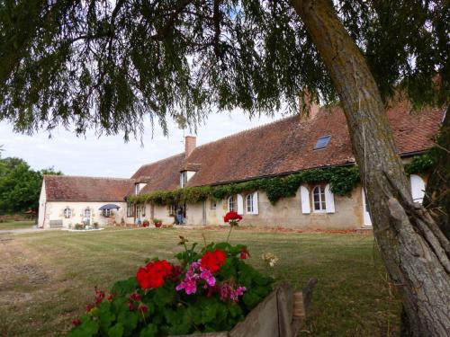 Gîte Lurcy-Lévis, 5 pièces, 10 personnes - FR-1-489-392 - Location saisonnière - Lurcy-Lévis