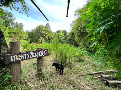 Équipements, Phow Homestay in Phayuha Khiri