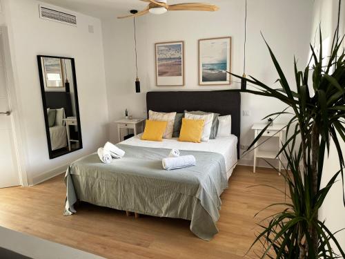 Wonderful Loft, parking free V, Malaga