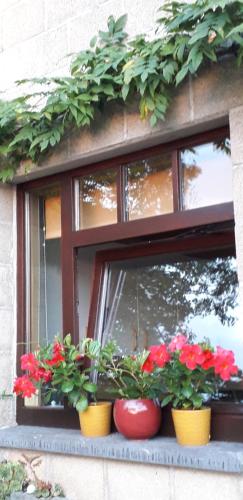 Intrare, Chambre Aqualine in Aywaille
