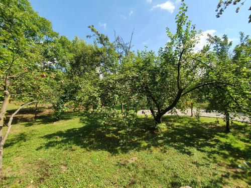 Tetmajera View & Garden