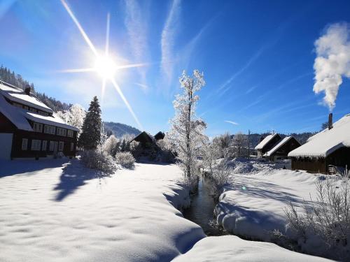 B5 Albmatte-FEWO Sauna, Hallenbad Außenbecken Massagen nebenan - Apartment - Menzenschwand-Hinterdorf