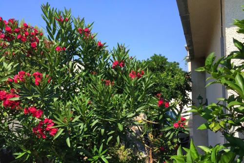 Apartments by the sea Orebic Peljesac - 11450 - image 2
