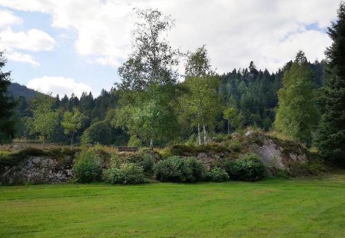 "Kuckucksnest" Hallenbad Freibecken Massagen nebenan