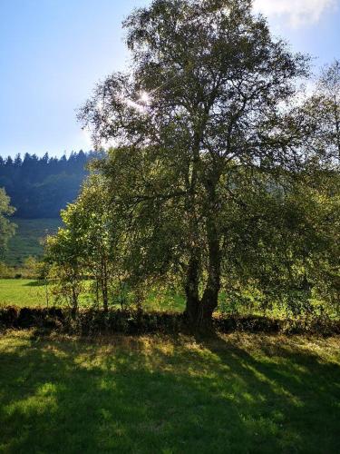 "Kuckucksnest" Hallenbad Freibecken Massagen nebenan