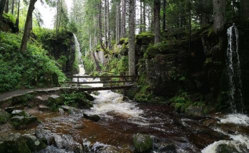 "Kuckucksnest" Hallenbad Freibecken Massagen nebenan