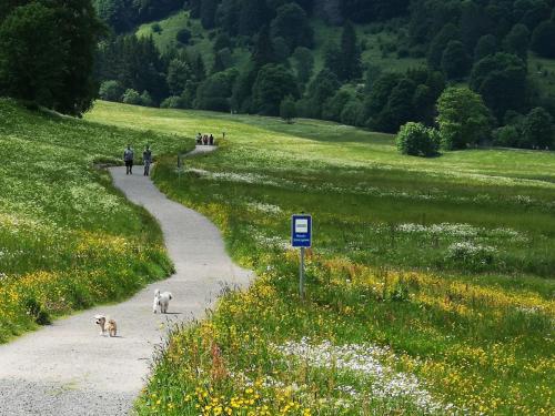 "Kuckucksnest" Hallenbad Freibecken Massagen nebenan