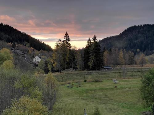 "Kuckucksnest" Hallenbad Freibecken Massagen nebenan