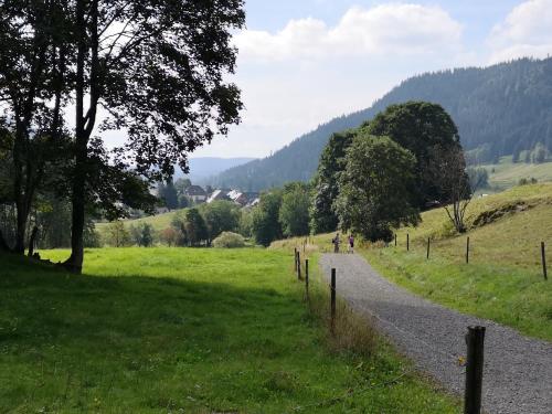 "Kuckucksnest" Hallenbad Freibecken Massagen nebenan