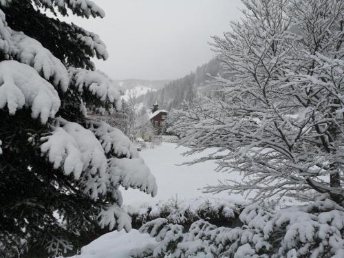 "Kuckucksnest" Hallenbad Freibecken Massagen nebenan