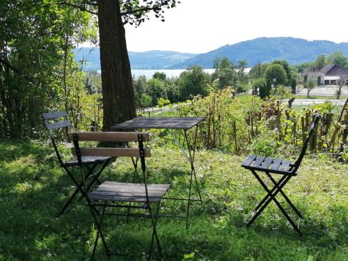  Attersee Studio-Apartment mit Eigen-Garten und unverbautem Seeblick in Schörfling
