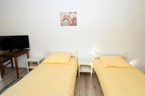 Apartments with a parking space Covici Velebit - 14302 - image 14
