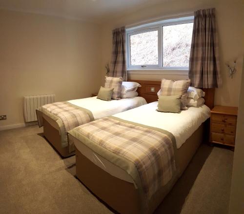 1 double bed, 1 sofa bed