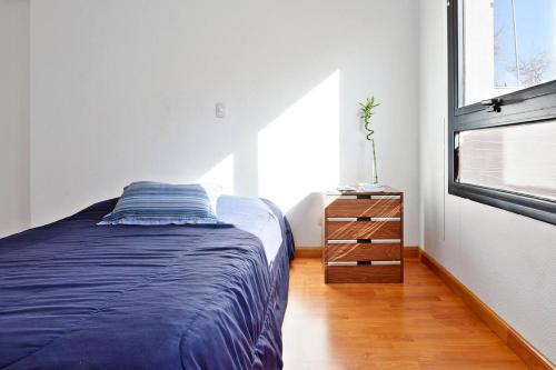 Cozy Apartment in Mendoza