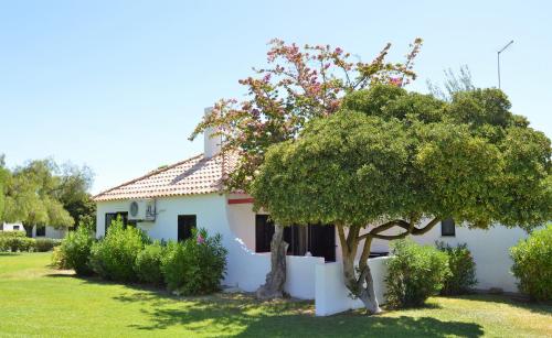  Seaside Villa 2 in Santa Luzia
