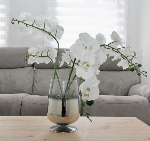 Katie's house in Cumbernauld