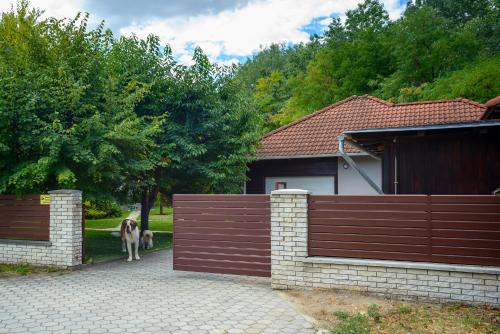 Videki Megallo Vendeghaz in Dunaharaszti