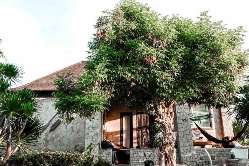 House of Gubuk Paon