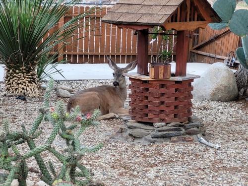 . Kernville - walk to River Kern & Downtown