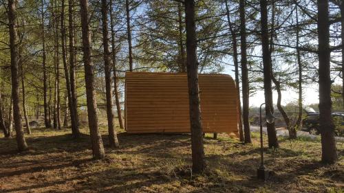 Glamping Pod im Wald