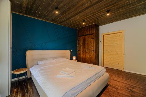 Blend Mountain Villa in 布什泰尼